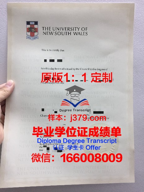 马山大学硕士毕业证：一份承载荣誉与梦想的证书