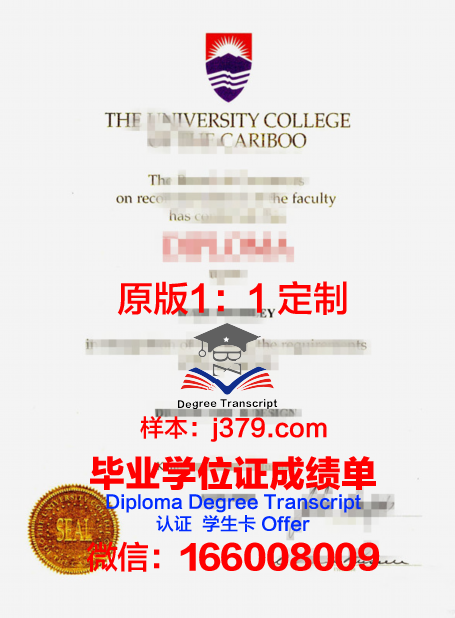 特里布万大学学位证(特里布文大学)