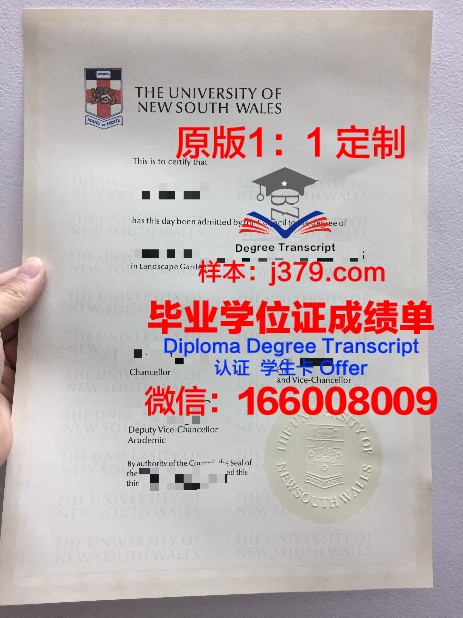 特里尔大学研究生毕业证书(特里尔大学怎么样)