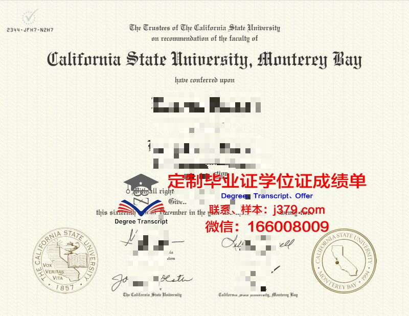 米德尔伯里学院蒙特雷国际研究学院毕业证书图片模板(蒙特雷国际研究院奖学金)