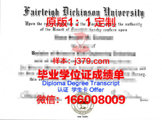 菲尔莱狄更斯大学毕业证图片