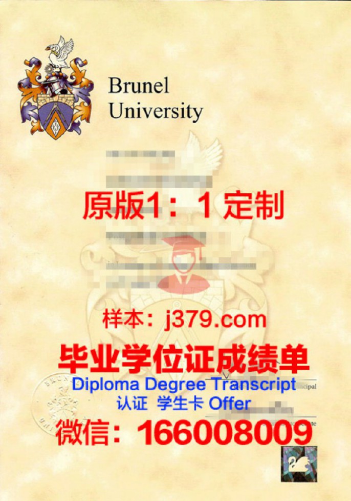 布鲁克代尔社区学院毕业证学位文凭学历Diploma