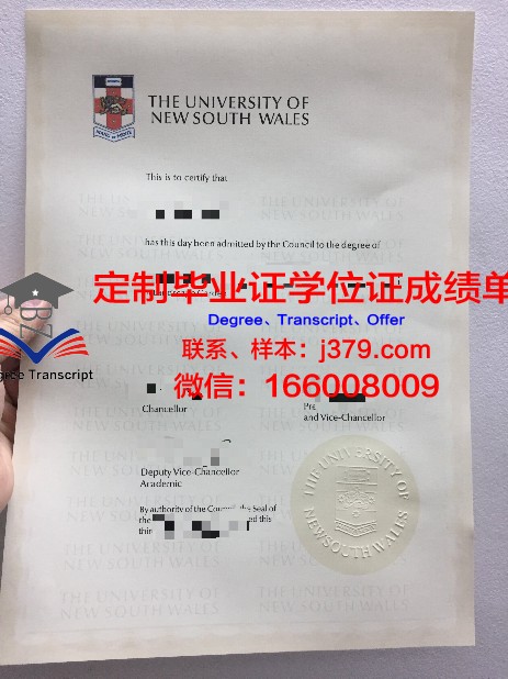 马尔马拉大学拿不了毕业证(马拉加大学相当于国内哪所大学)