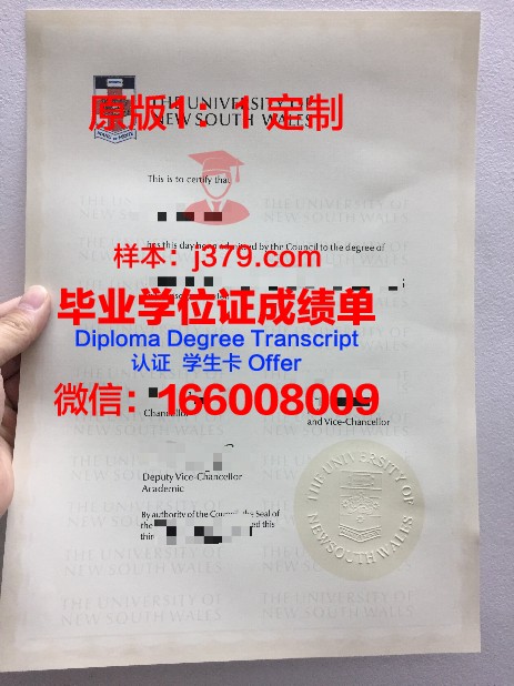 米纳斯吉拉斯联邦大学毕业证Diploma文凭