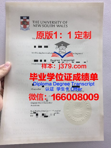 IE大学毕业证Diploma文凭成绩单