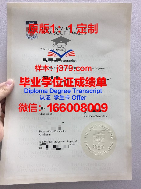 特鲁瓦技术大学毕业证diploma