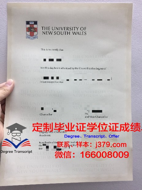 IE大学毕业证图片