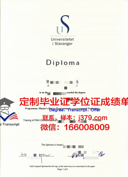 挪威商学院diploma证书(挪威商科)