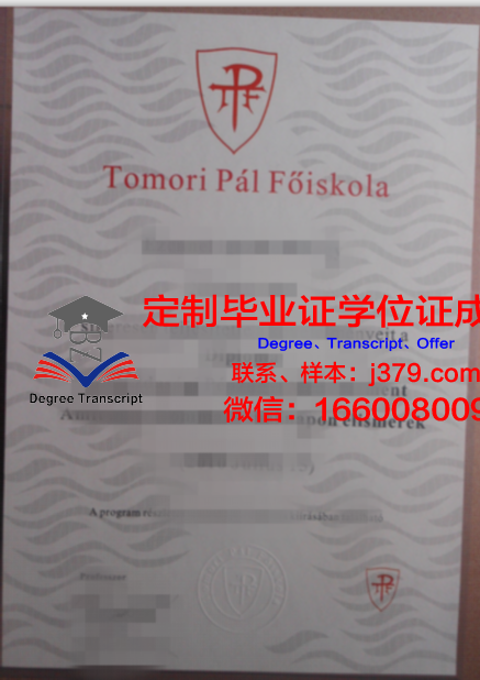 马尼帕尔国际大学毕业证 Manipal International University diploma