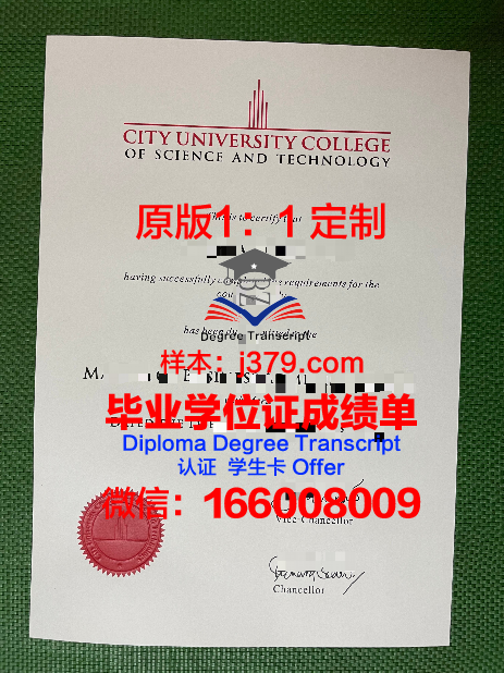 马来西亚城市大学毕业文凭