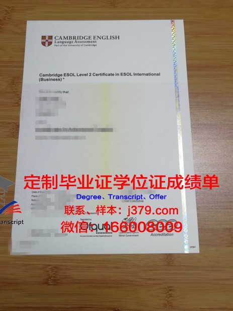 第聂伯经济与法律大学毕业证书模板