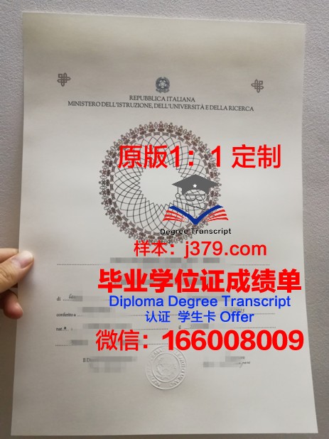 马切拉塔美术学院毕业证学位文凭学历Diploma