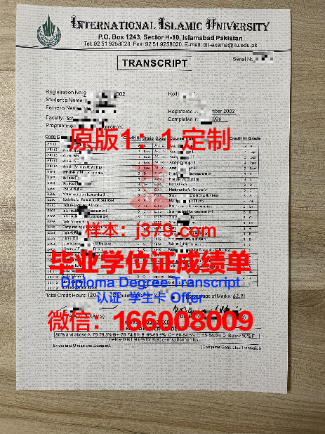 探索伊斯兰金融教育的巅峰——伊斯兰金融国际教育中心博士学位证