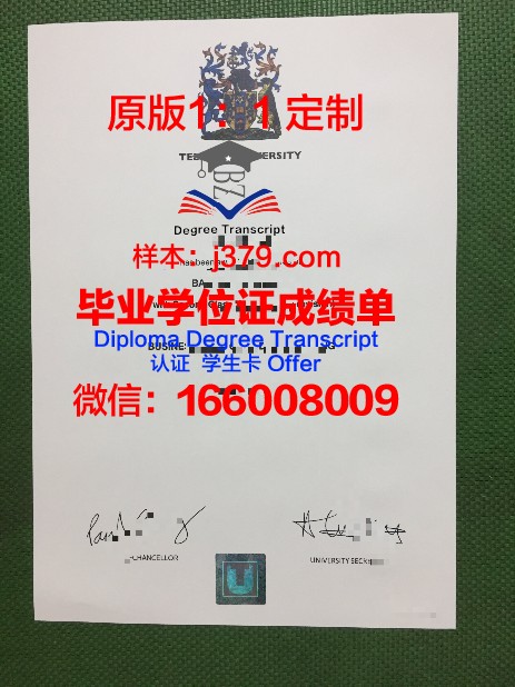 提赛德大学毕业证diploma