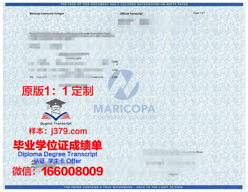 瓦尔纳自由大学成绩单：卓越教育的证明