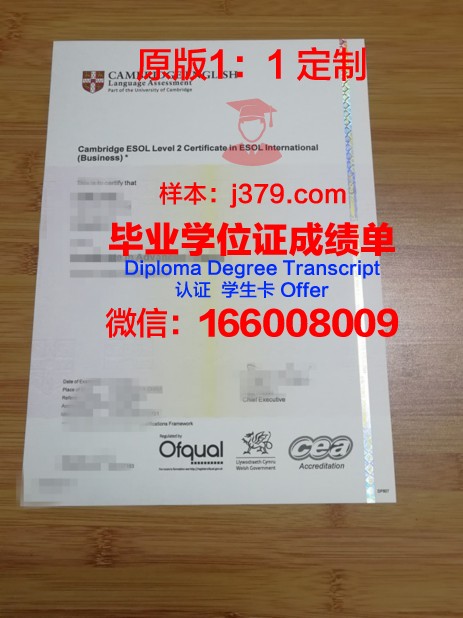 瓦耶大学研究生毕业证书(瓦耶大学研究生毕业证书图片)