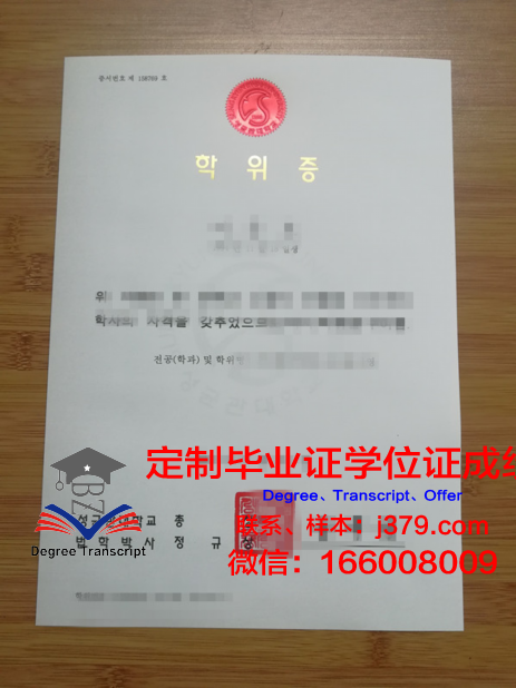 萨大本科学位证：开启国际化教育新篇章