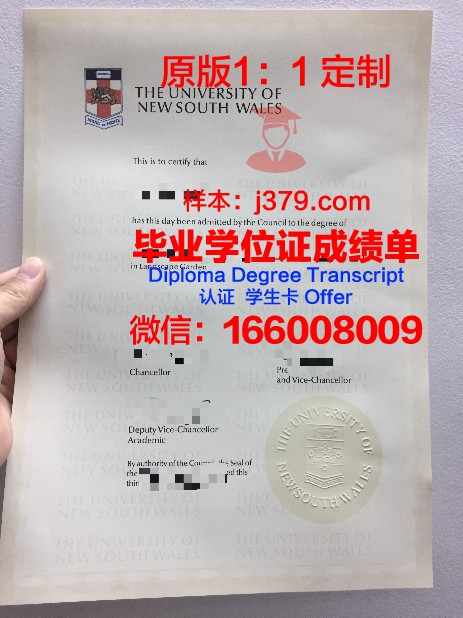 理工院毕业证定制价格解析：一张毕业证的价值几何？