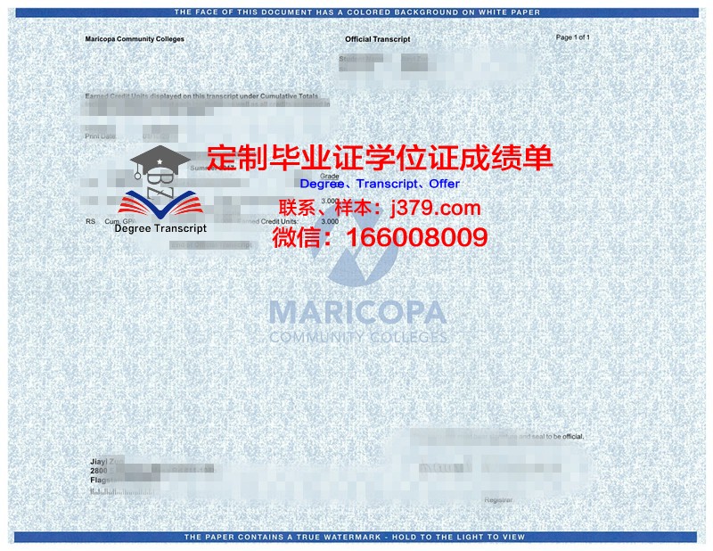 瑞吉斯大学成绩单：教育质量的见证者