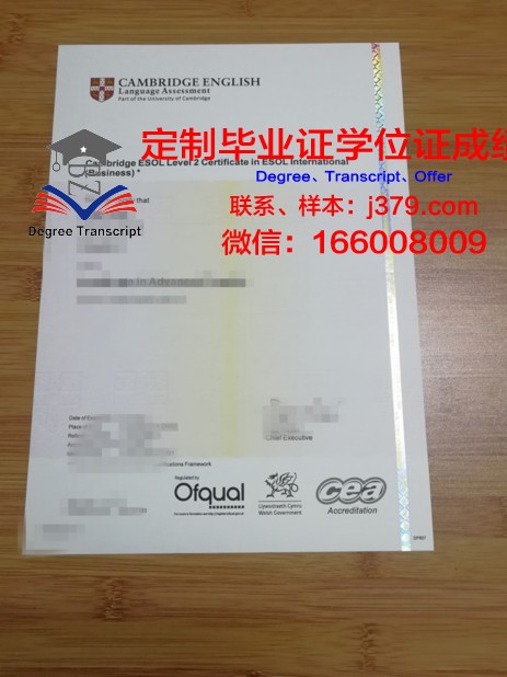 瓦萨大学毕业证书(瓦萨学院属于哪个档次)