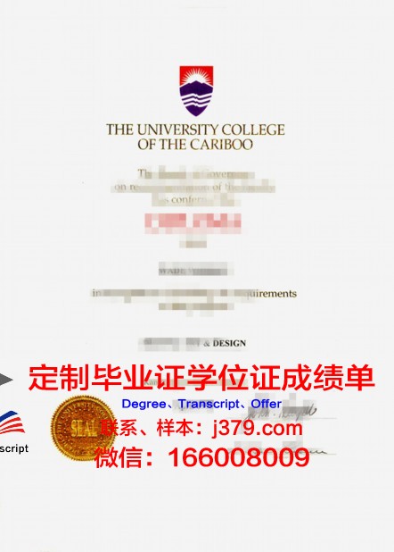 瑟克特夫卡尔国立大学毕业证高清图(瑟克特夫卡尔天气)