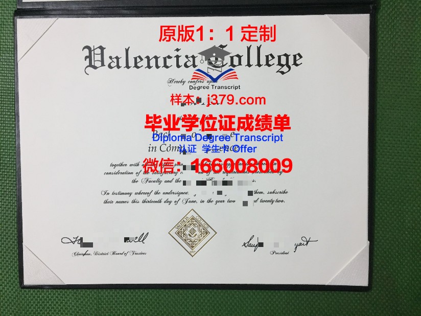 瓦伦西亚理工大学毕业学位证有用吗(瓦伦西亚理工大学世界排名)