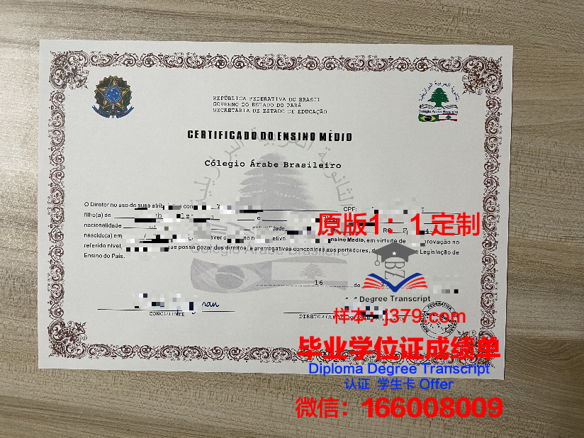 瓦加斯基金会巴西公共与企业管理学院毕业证封面(巴西瓦加斯主义)