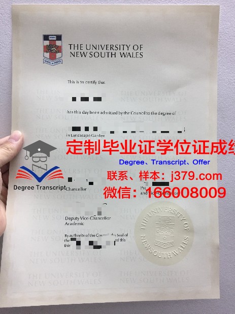 瓦贝希学院 diploma 毕业证