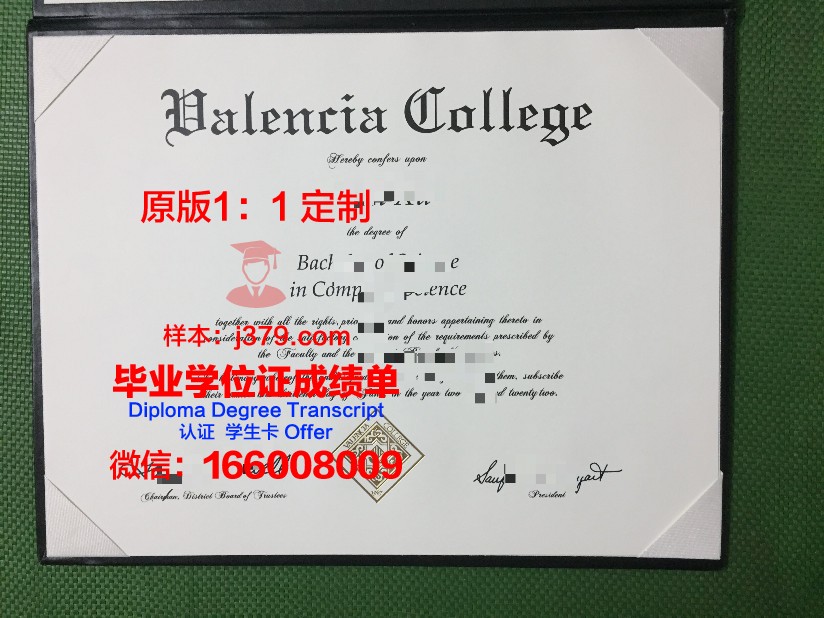 瓦伦西亚欧洲大学毕业证定制：传承与创新的双重魅力