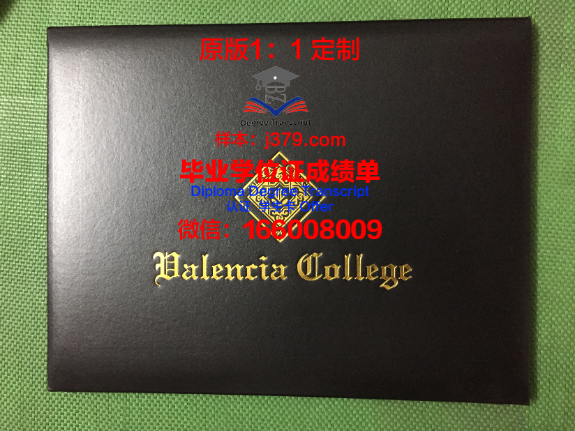 瓦伦西亚大学毕业证书样本(瓦伦西亚大学英语授课)