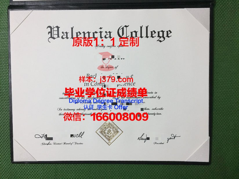 瓦伦西亚欧洲大学毕业证长什么样(瓦伦西亚大学官网)