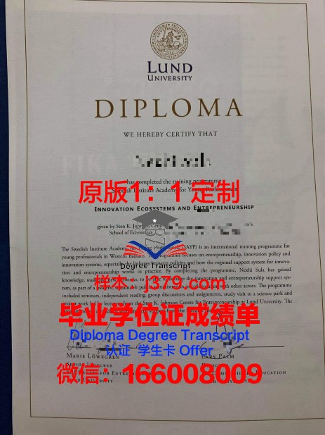 瑞典中部大学毕业证样本(瑞典留学毕业)