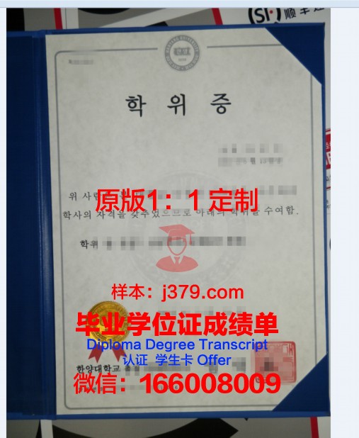 萨大本科学位证：开启国际化教育新篇章