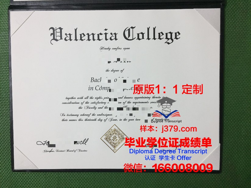 瓦伦西亚理工大学毕业证diploma