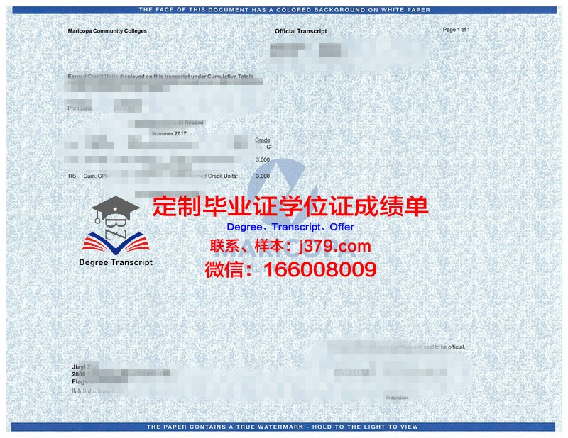 阿米科成绩单：揭示教育本质的启示录
