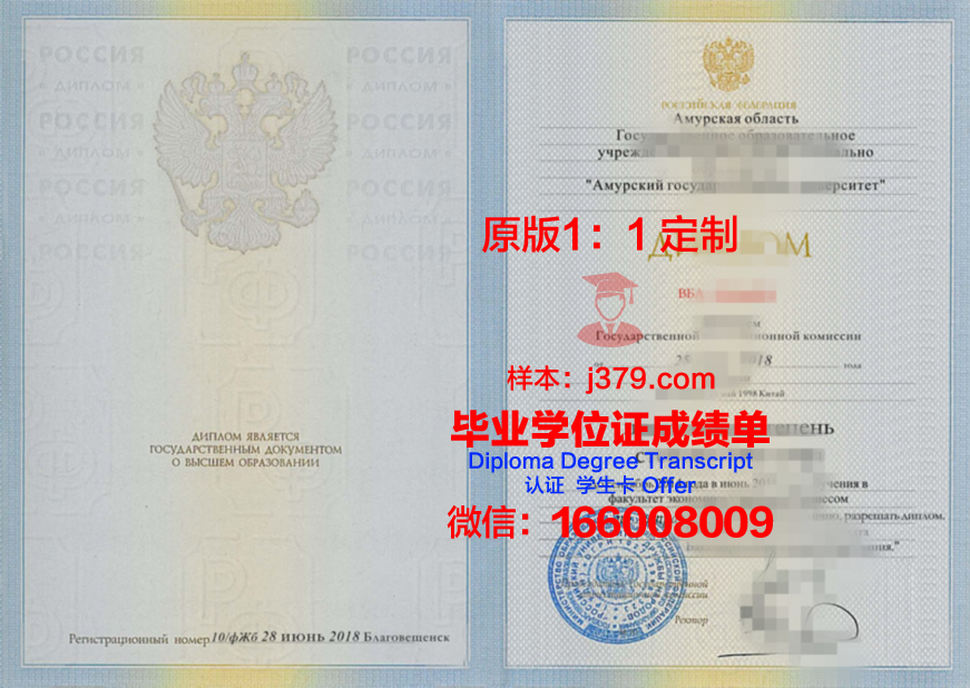 阿穆尔河畔共青城国立技术大学博士毕业证书