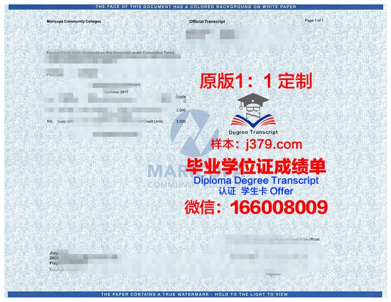 瓦大成绩单：记录成长足迹，见证砥砺前行