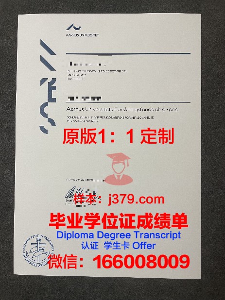 奥胡斯建筑学院毕业证模板(奥胡斯大学土木工程)