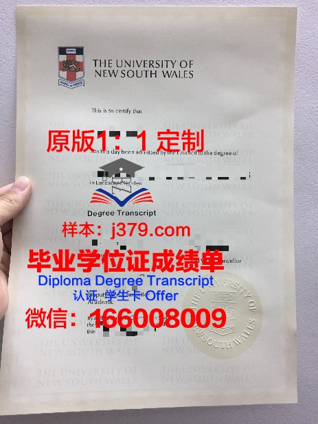 萨尔音乐和戏剧学院毕业证书模板(音乐系毕业证图片)