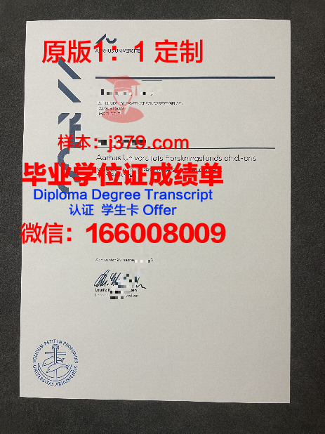 奥胡斯建筑学院毕业证图片