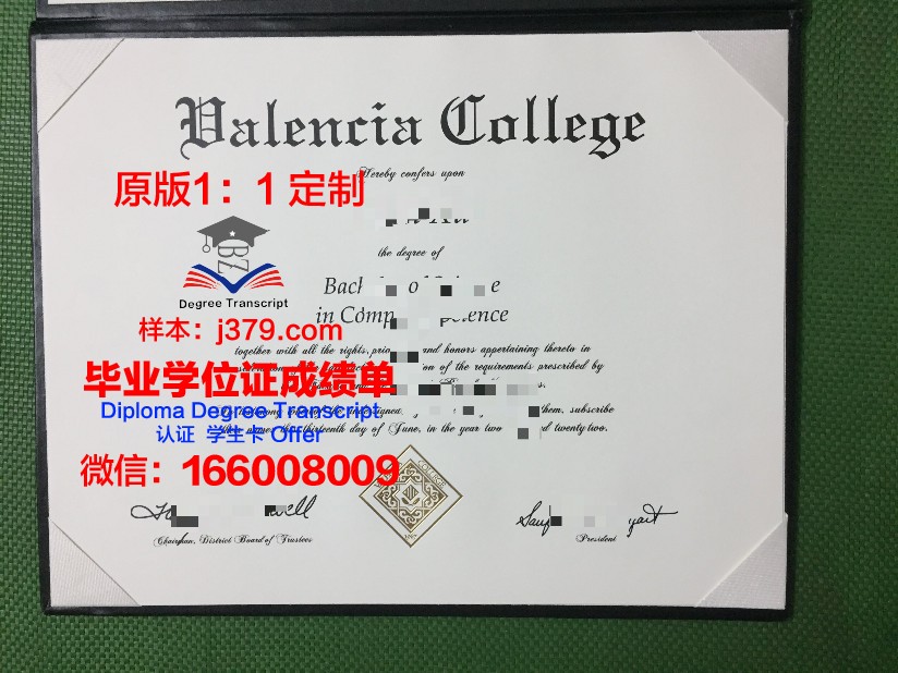 瓦伦西亚毕业证(瓦伦西亚理工费用)