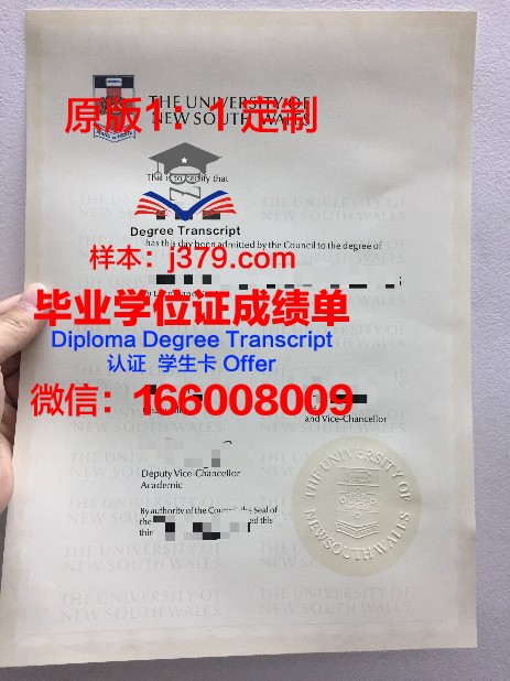 阿提拉·约瑟夫大学本科毕业证：一份跨越时空的荣誉见证