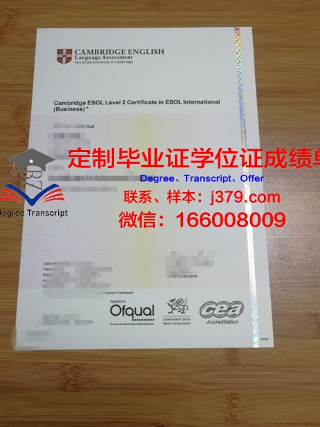 阿纳姆恩斯赫德与兹沃勒艺术大学diploma证书
