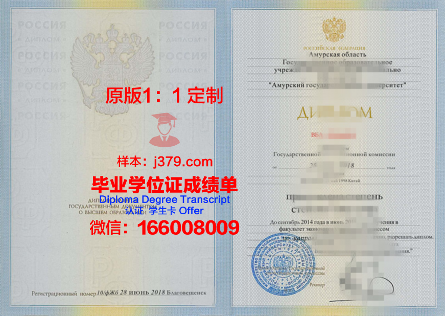 阿穆尔河畔共青城国立技术大学成绩单：一份跨越国界的学术印记