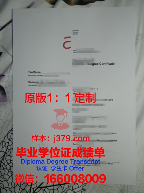 奥斯特法利亚应用技术大学毕业学位