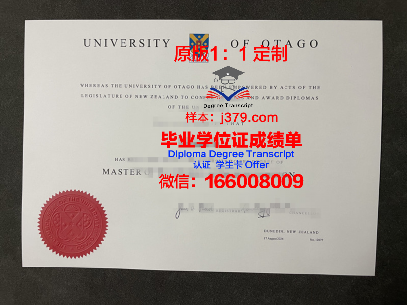 奥塔博士毕业证：一张纸背后的故事