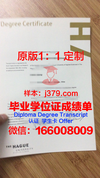 萨克逊应用科学大学毕业证模板(学萨克斯上大学有用吗)