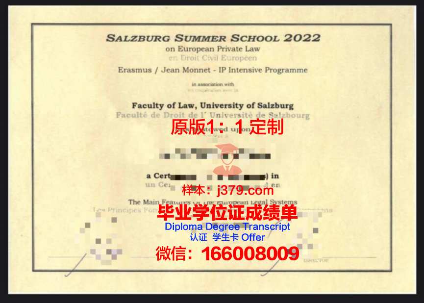 萨尔茨堡高等专业学院硕士毕业证：开启国际职场新篇章