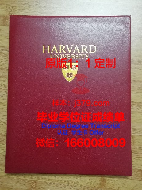 阿联酋大学毕业证壳子(阿联酋学生签证)
