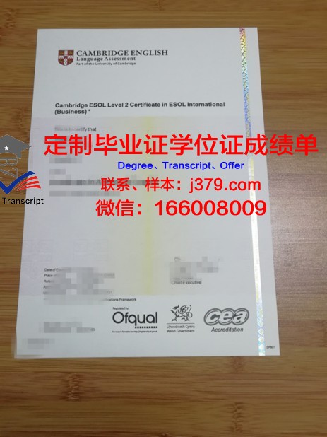 萨尔大学毕业证书什么颜色(萨尔大学毕业证书什么颜色可以用)